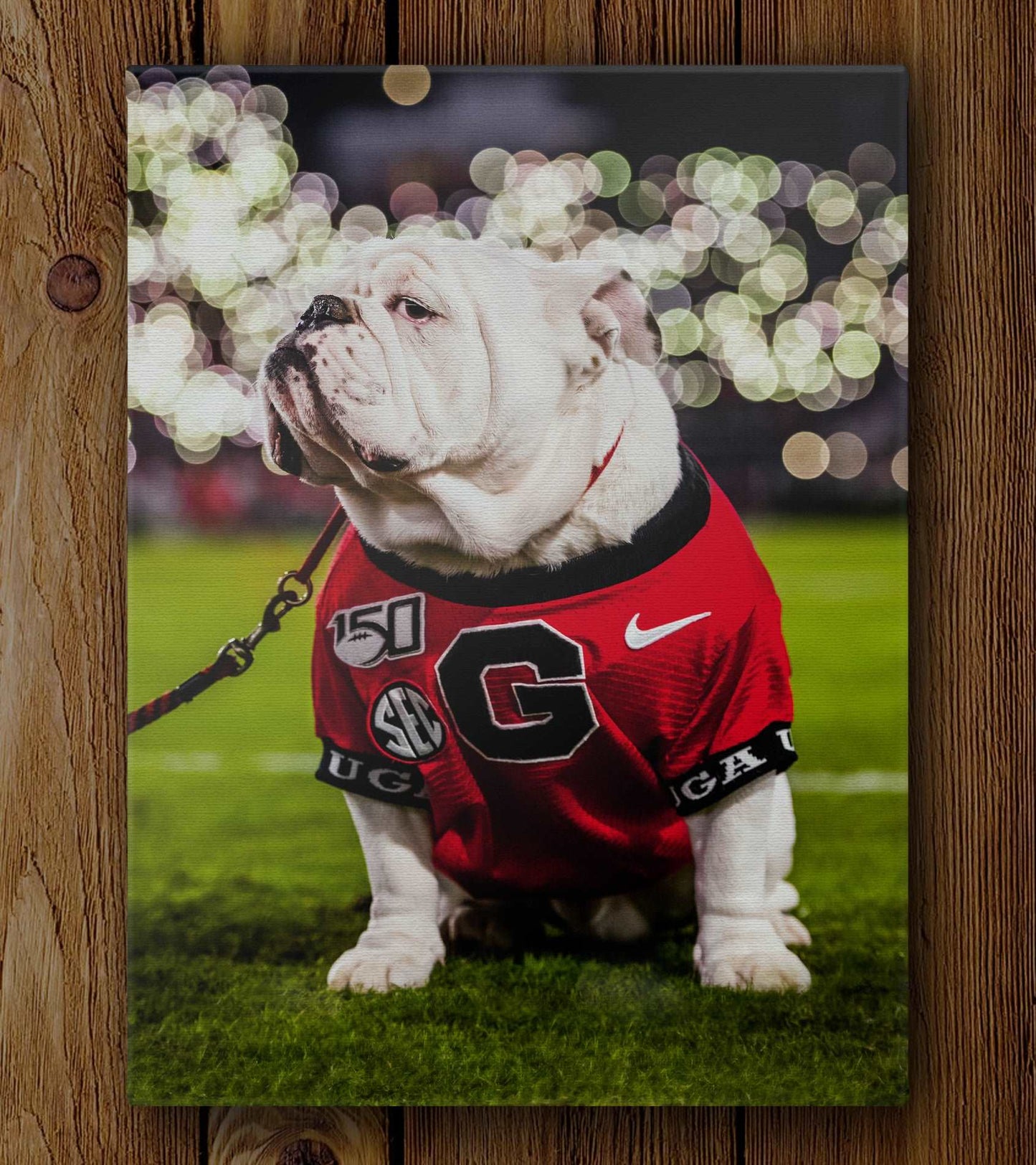 Uga X Under the Lights Mascot Photo Print & Canvas Wrap - Georgia Bulldogs Art