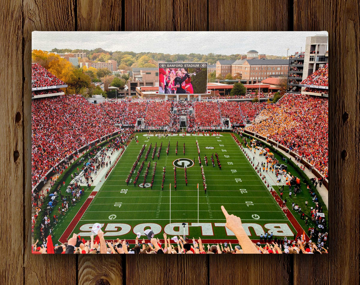 Georgia Bulldogs Canvas Wrap