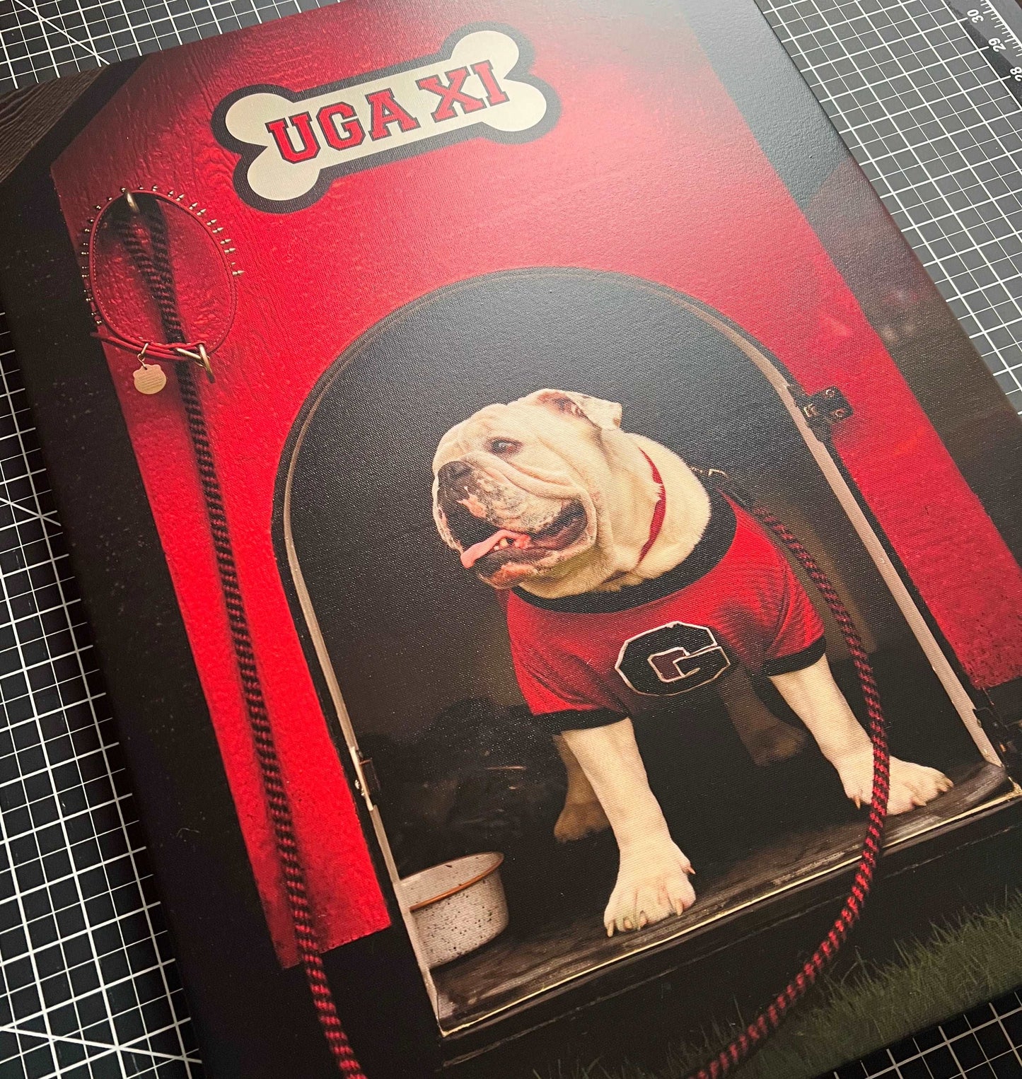 Georgia Bulldogs Canvas Wrap