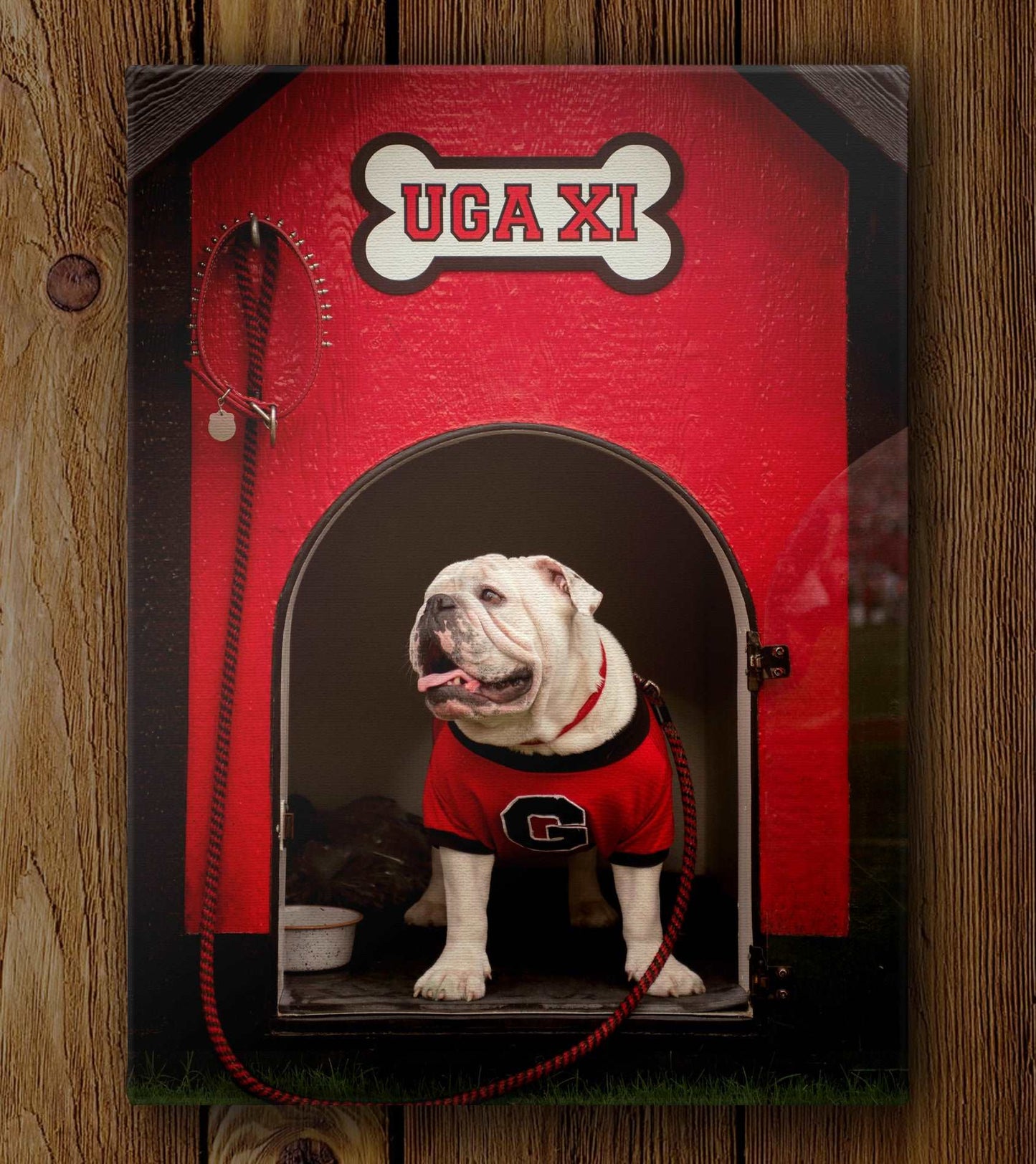 Georgia Bulldogs Canvas Wrap