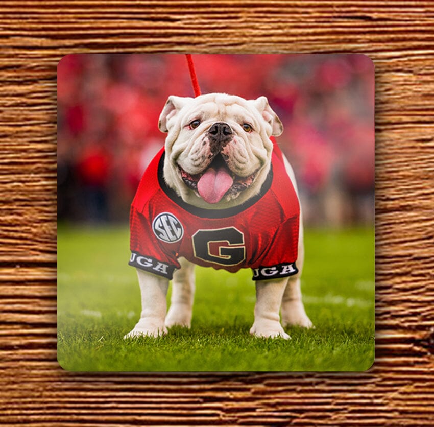 UGA Georgia Bulldogs 4" Hardboard Coaster - Uga X Mascot - WRIGHT PHOTO