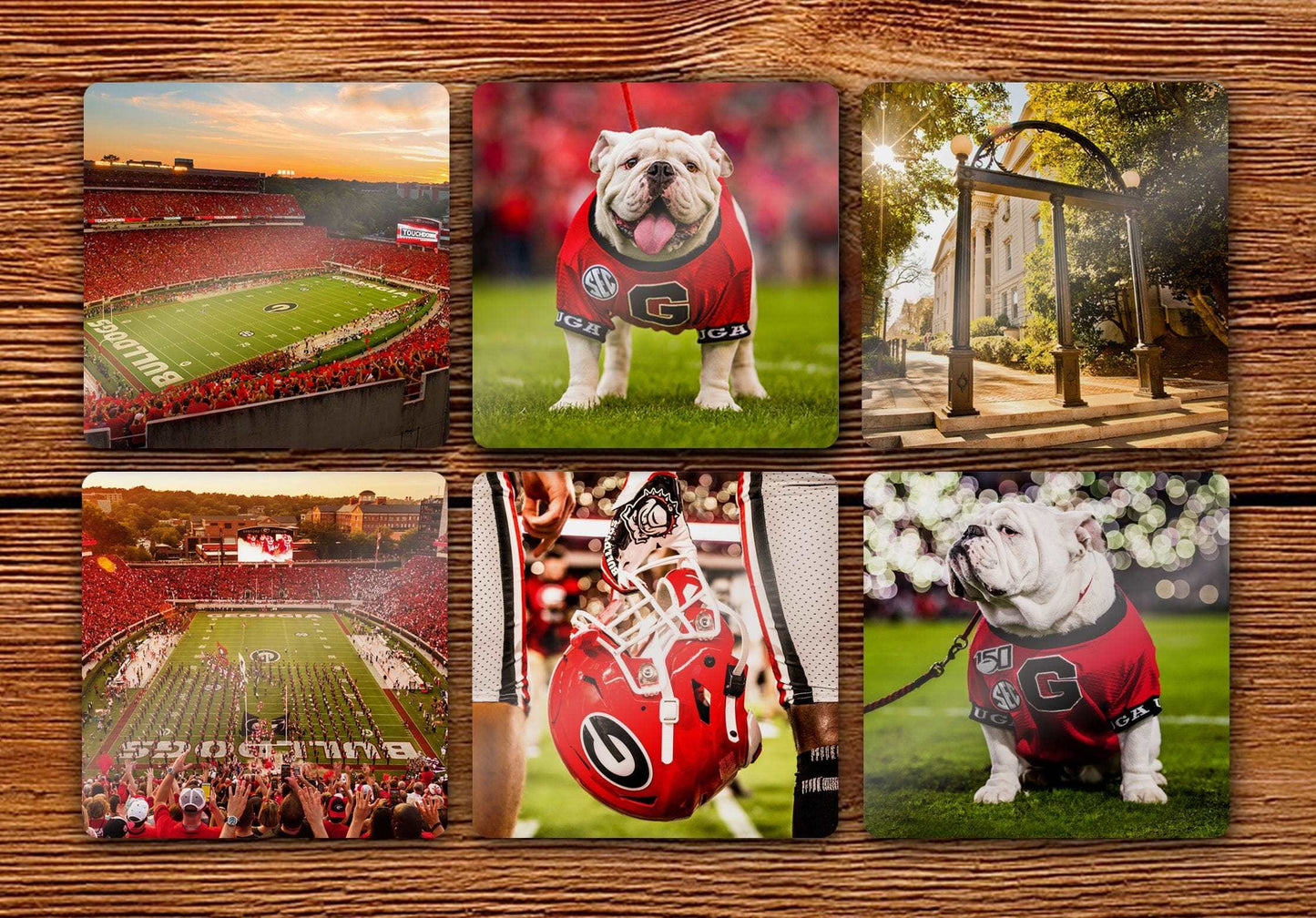 UGA Georgia Bulldogs 4" Hardboard Coasters - University of Georgia Variety 6-Pack - WRIGHT PHOTO