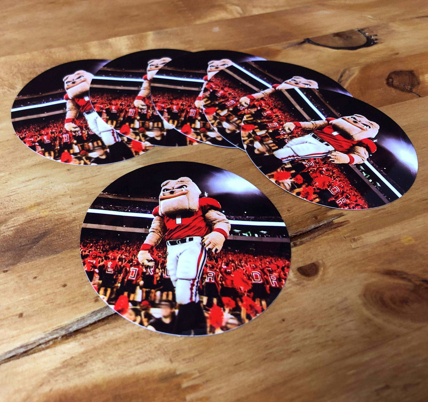 UGA Georgia Bulldogs Sticker 6-Pack - Hairy Dawg - 2.75" Circle Vinyl Photo Decal Gift Wrap - WRIGHT PHOTO