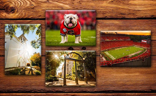 UGA Georgia Bulldogs Fridge Magnet Variety 4-Pack - 2.5"x3.5" Premium Tin Plate Photo Gift - WRIGHT PHOTO