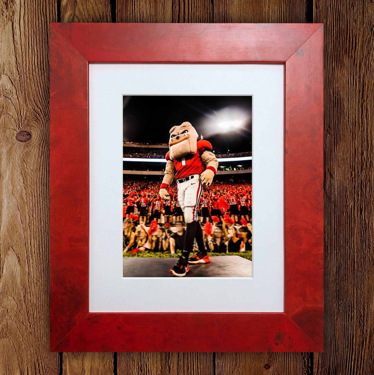 Hairy Dawg Hype Football Mascot Photo Print & Canvas Wrap - Georgia Bulldogs Art