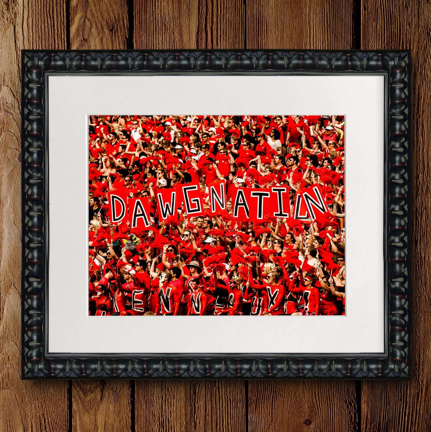 UGA Dawgnation Football Photo Print & Canvas Wrap - Georgia Bulldogs Art
