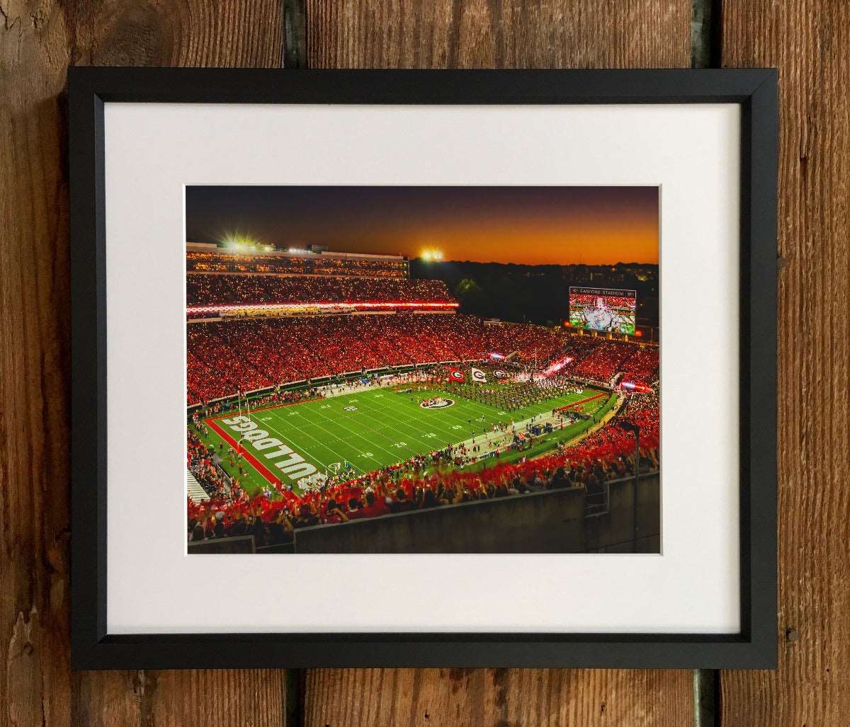 Big Night in Sanford Stadium Photo Print & Canvas Wrap - Georgia Bulldogs Art