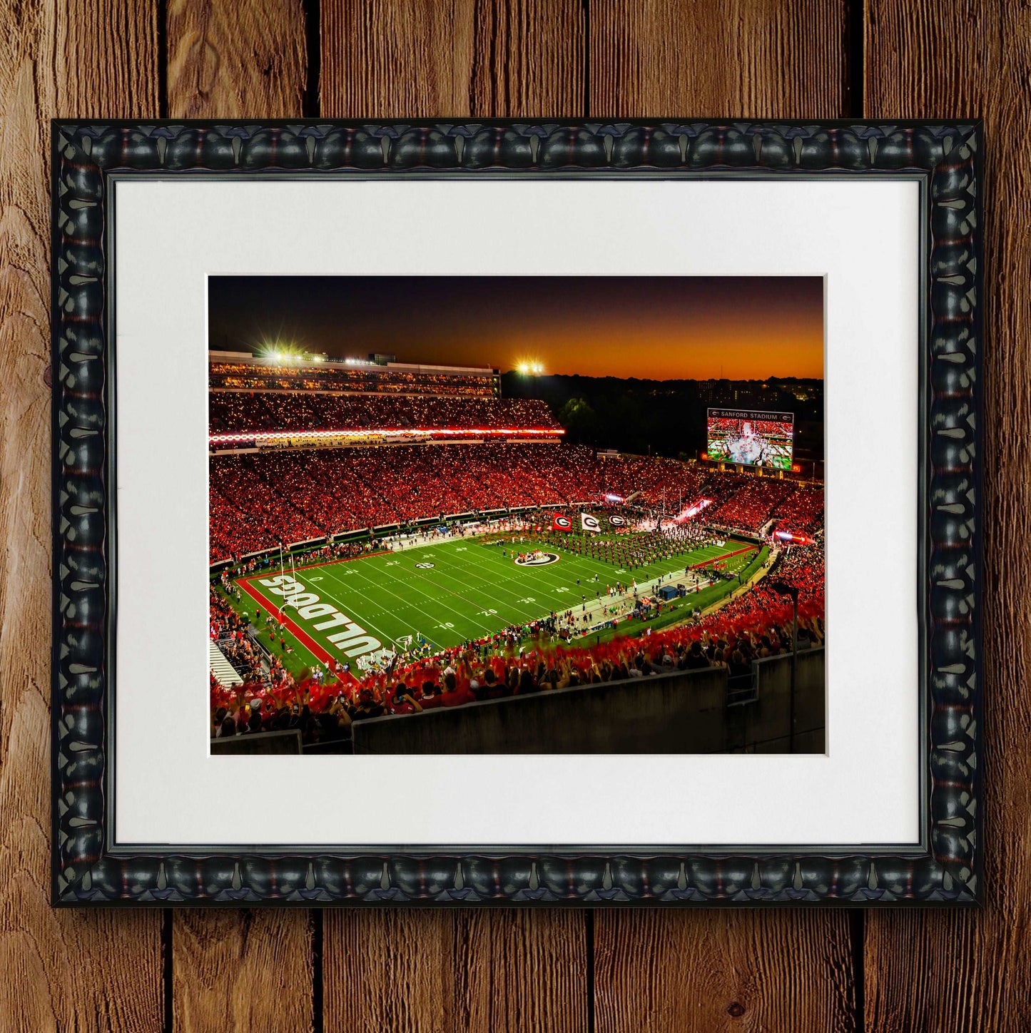 Big Night in Sanford Stadium Photo Print & Canvas Wrap - Georgia Bulldogs Art