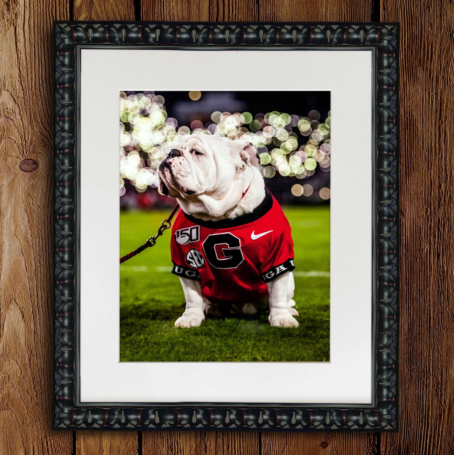 Uga X Under the Lights Mascot Photo Print & Canvas Wrap - Georgia Bulldogs Art