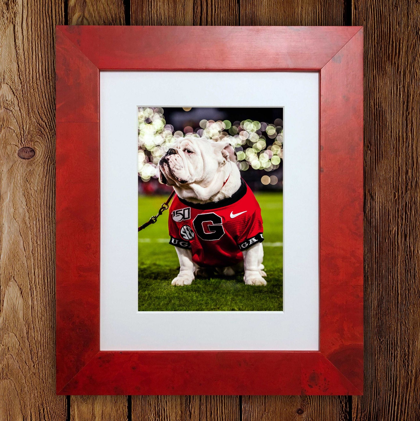 Uga X Under the Lights Mascot Photo Print & Canvas Wrap - Georgia Bulldogs Art