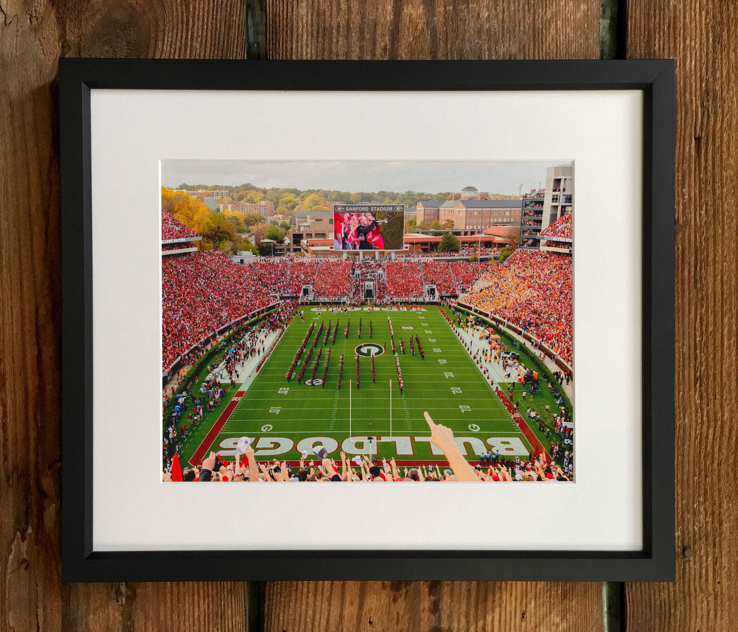 Georgia Bulldogs Framed Photo Prints