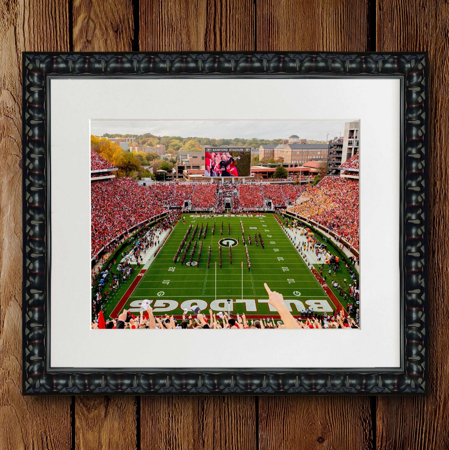 Georgia Bulldogs Framed Photo Prints