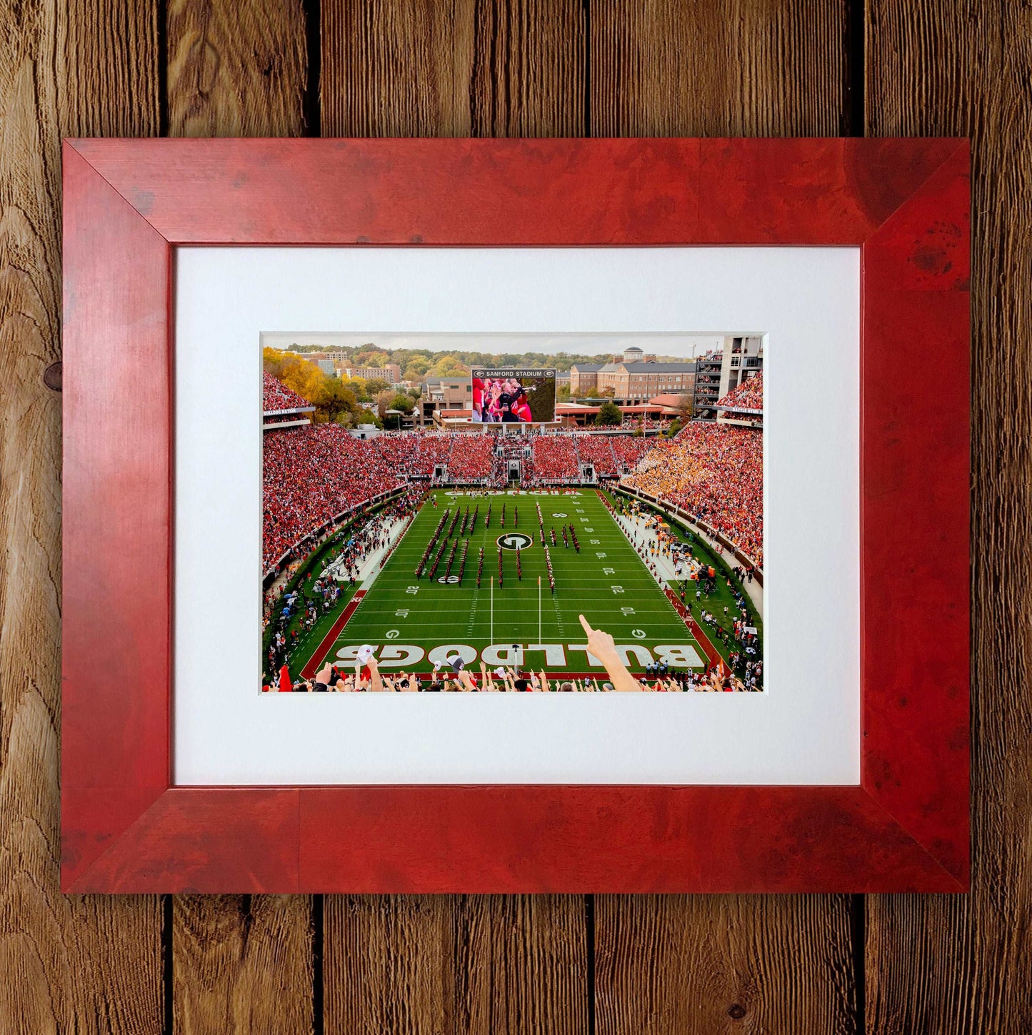 Georgia Bulldogs Framed Photo Prints