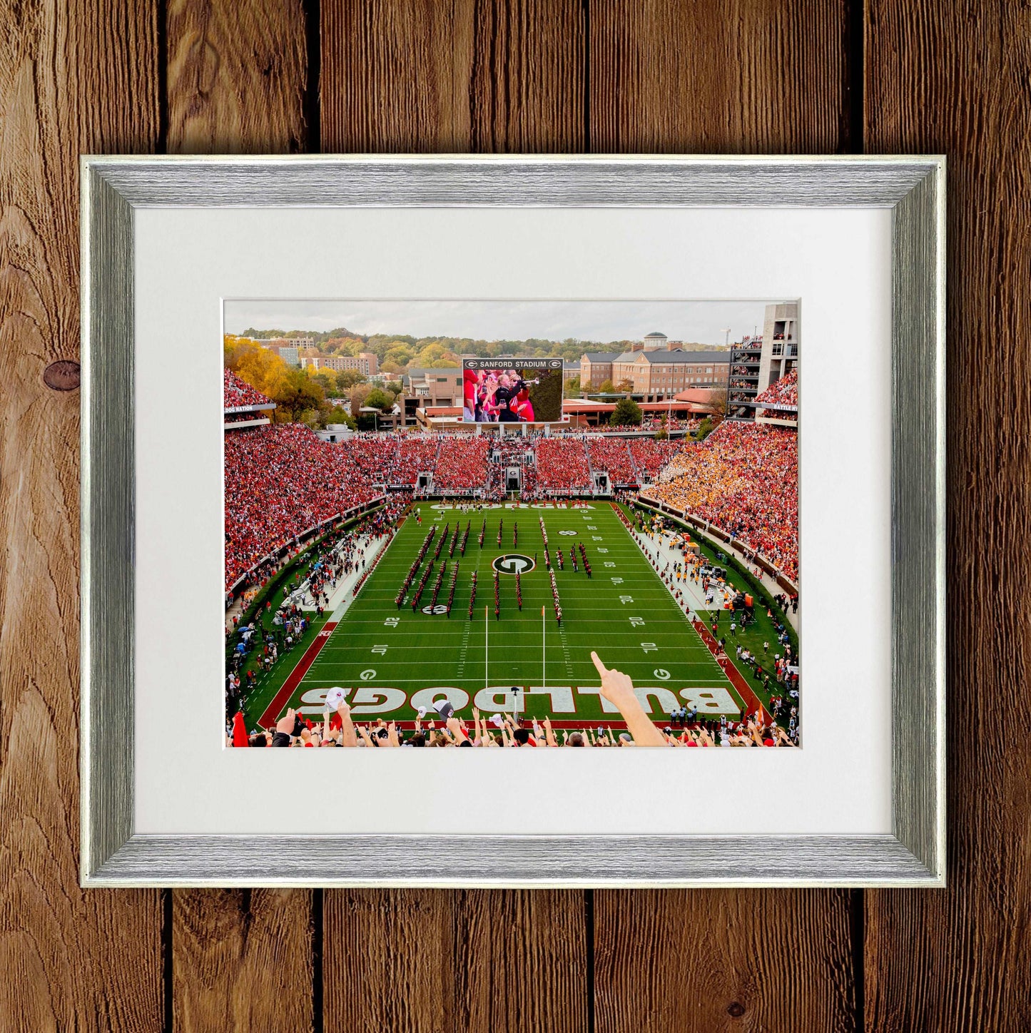 Georgia Bulldogs Framed Photo Prints