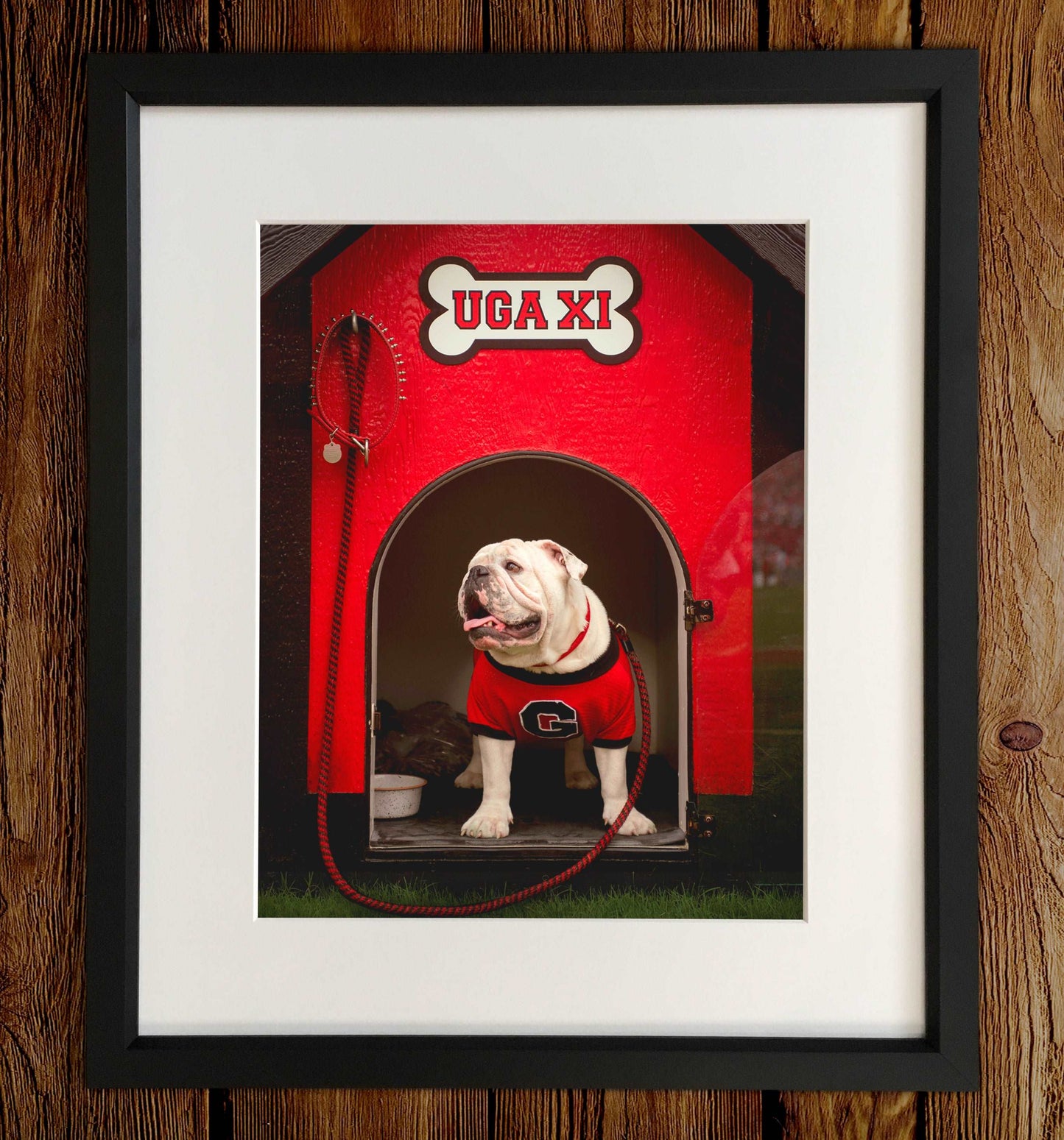 Georgia Bulldogs Framed Print