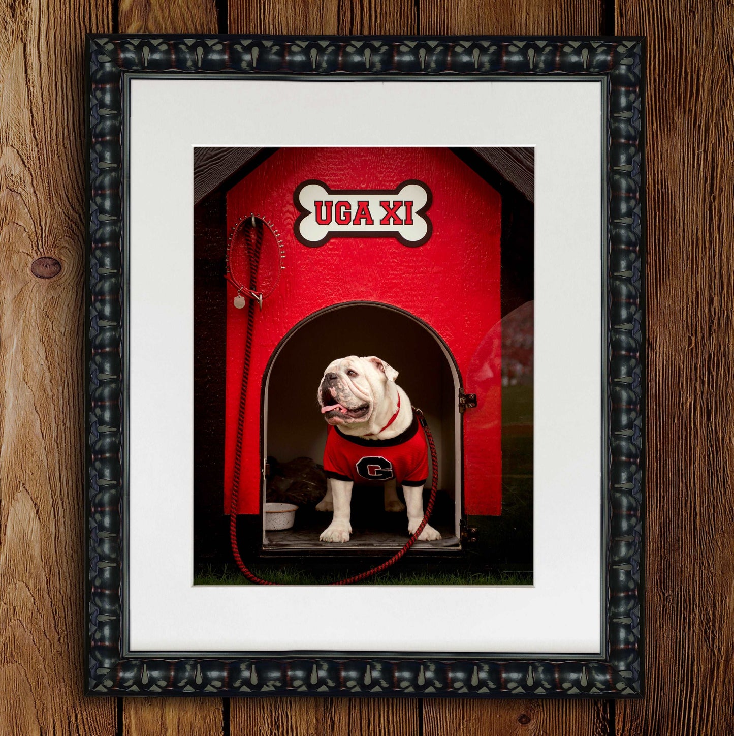 Georgia Bulldogs Framed Print