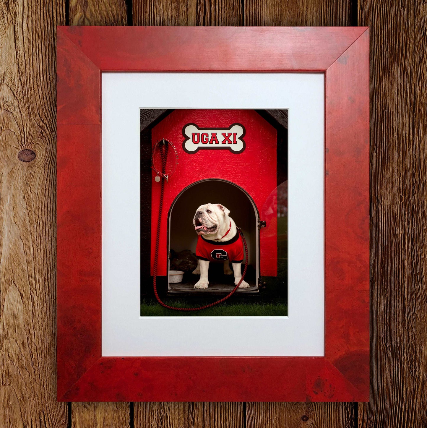 Georgia Bulldogs Framed Print