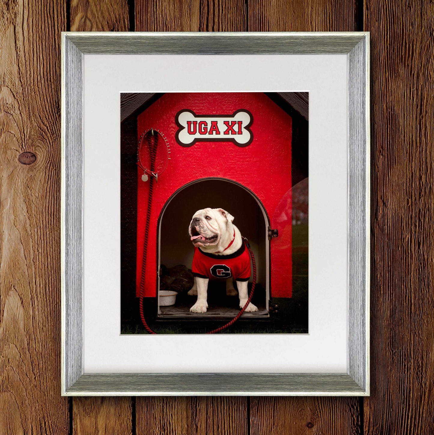 Georgia Bulldogs Framed Print