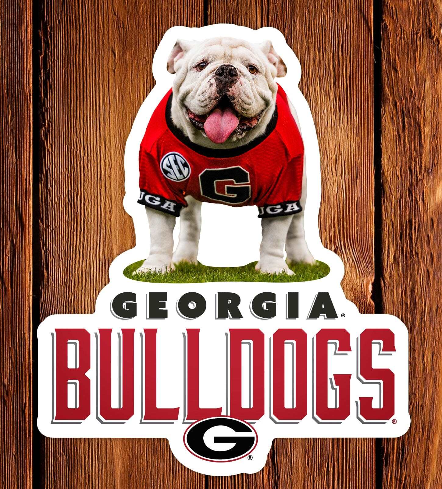 UGA Georgia Bulldogs Sticker - Uga X Mascot Vintage Design Premium UV Vinyl Die-Cut Decal - WRIGHT PHOTO