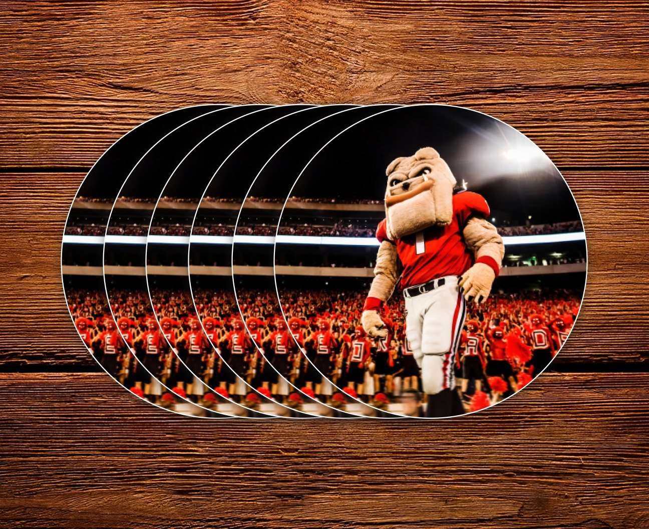 UGA Georgia Bulldogs Sticker 6-Pack - Hairy Dawg - 2.75" Circle Vinyl Photo Decal Gift Wrap - WRIGHT PHOTO