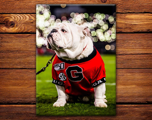 UGA Georgia Bulldogs Fridge Magnet - UGA Under the Lights 2.5"x3.5" Premium Tin Photo Gift - WRIGHT PHOTO