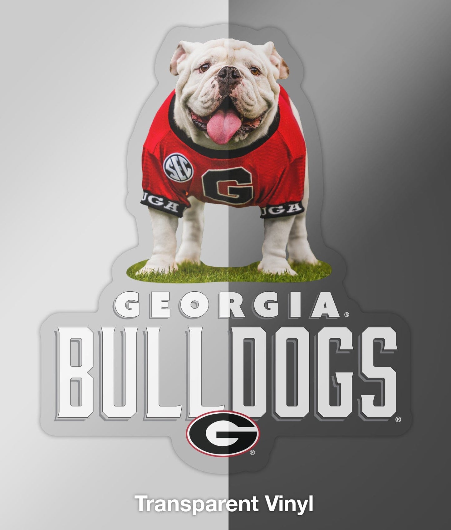 UGA Georgia Bulldogs Sticker - Uga X Mascot Vintage Design Premium UV Vinyl Die-Cut Decal - WRIGHT PHOTO