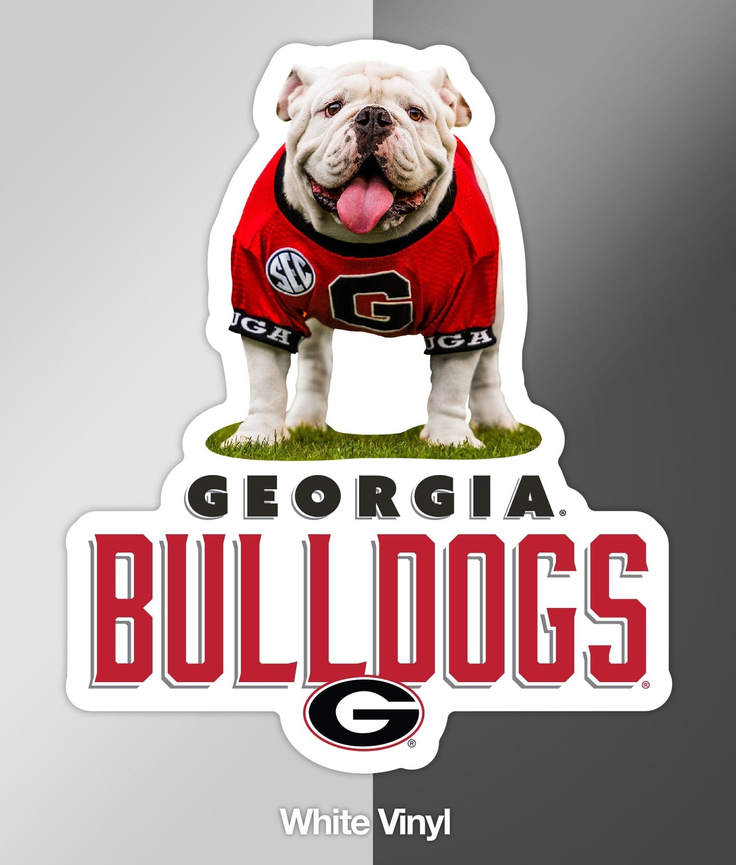 UGA Georgia Bulldogs Sticker - Uga X Mascot Vintage Design Premium UV Vinyl Die-Cut Decal - WRIGHT PHOTO