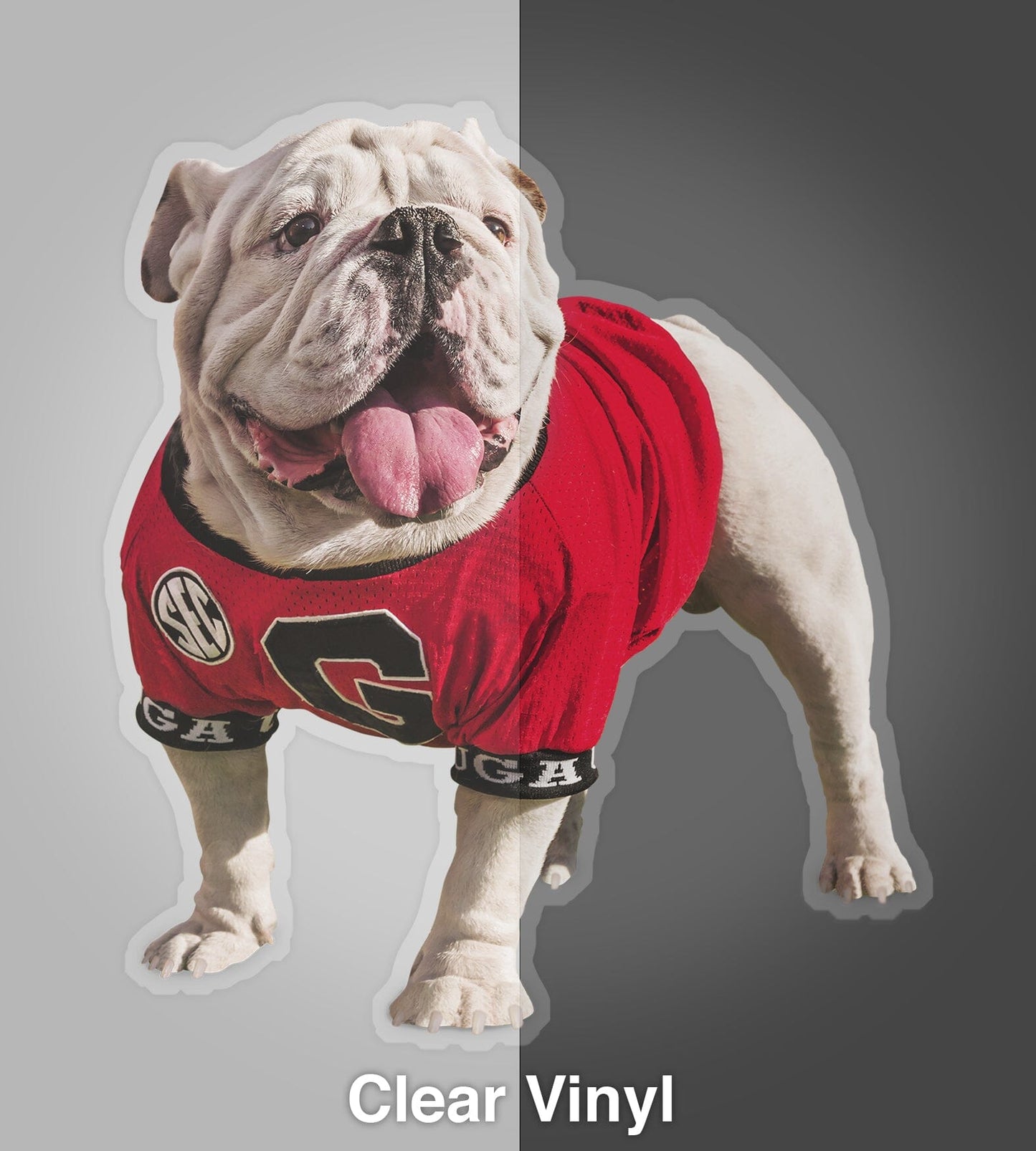 UGA Georgia Bulldogs Sticker - Uga X Mascot in the Endzone Premium UV Vinyl Die-Cut Decal - WRIGHT PHOTO