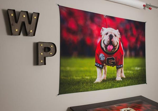 UGA Georgia Bulldogs Art: Uga X Mascot Tapestry Poster Wall Art Photo - 2XL & 3XL Sizes - Wright Photo