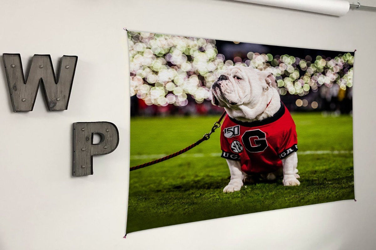 UGA Georgia Bulldogs Art: Uga X Under the Lights Mascot Tapestry Poster Wall Art Photo - 2XL & 3XL Sizes - Wright Photo