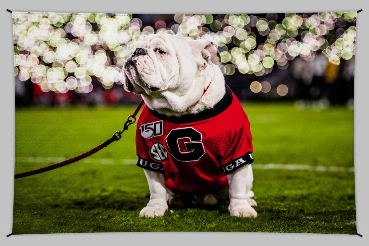 UGA Georgia Bulldogs Art: Uga X Under the Lights Mascot Tapestry Poster Wall Art Photo - 2XL & 3XL Sizes - Wright Photo