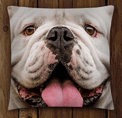 UGA Georgia Bulldogs Home Decor & Lifestyle Products