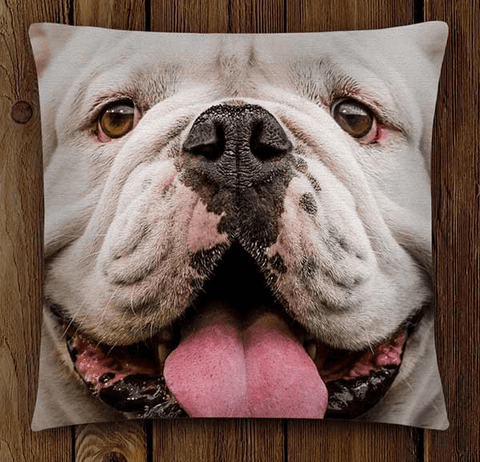 UGA Georgia Bulldogs Home Decor & Lifestyle Products