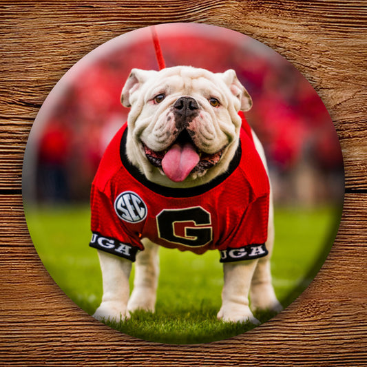 Uga X Mascot 3" Pin-Back Button - Georgia Bulldogs Tailgating & Gifts