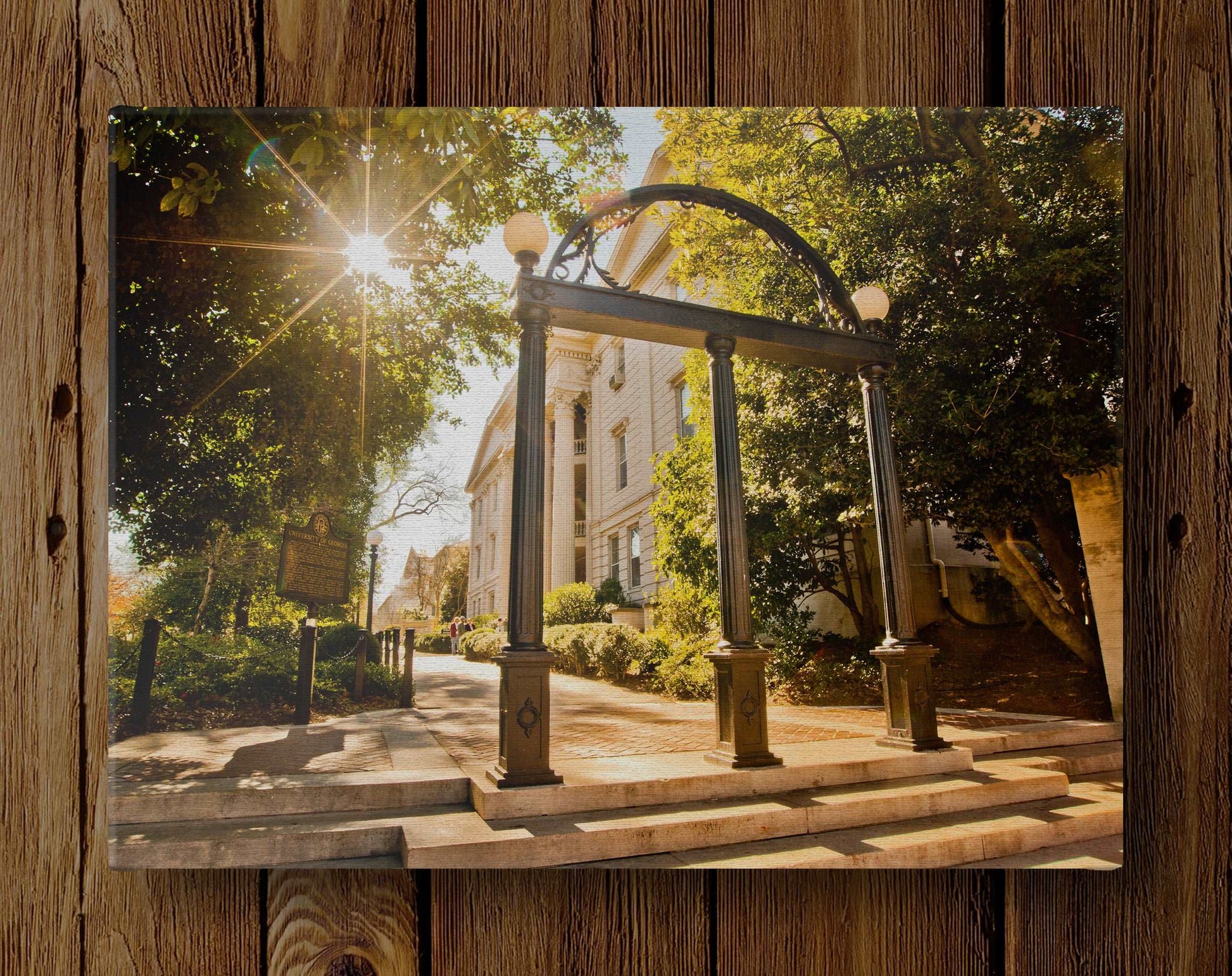 Campus Arch Print & Canvas Wrap - University of Georgia Art