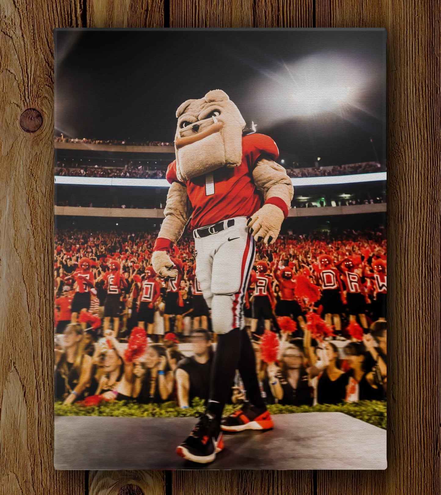 Hairy Dawg Hype Football Mascot Photo Print & Canvas Wrap - Georgia Bulldogs Art