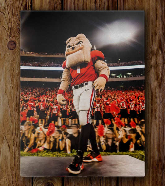 Hairy Dawg Hype Football Mascot Photo Print & Canvas Wrap - Georgia Bulldogs Art