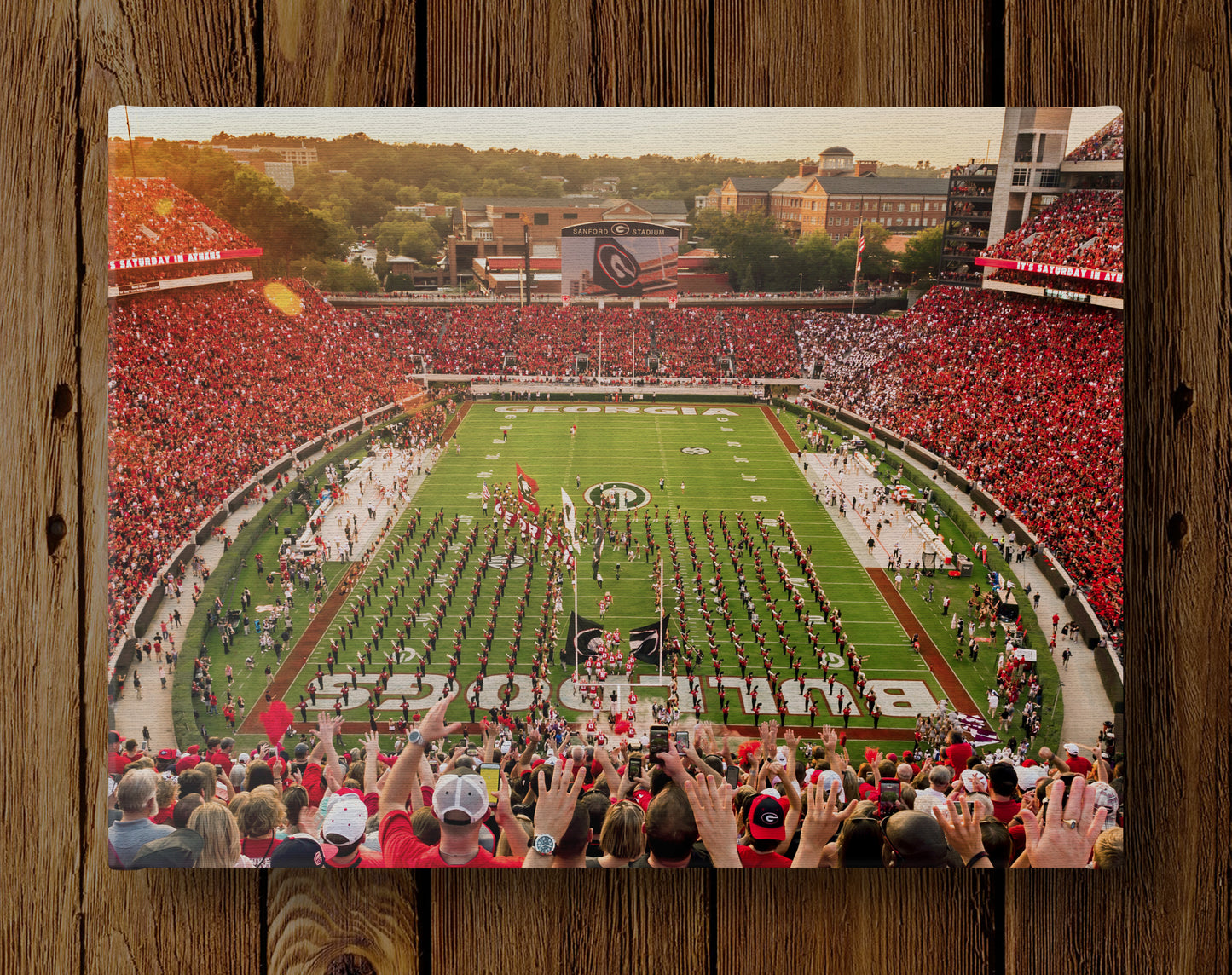 Saturday in Athens Sanford Stadium Photo Print & Canvas Wrap - Georgia Bulldogs Art