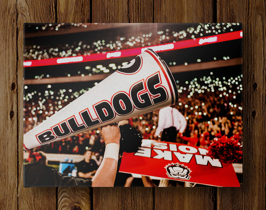 Light Up Sanford Stadium Photo Print & Canvas Wrap - Georgia Bulldogs Art