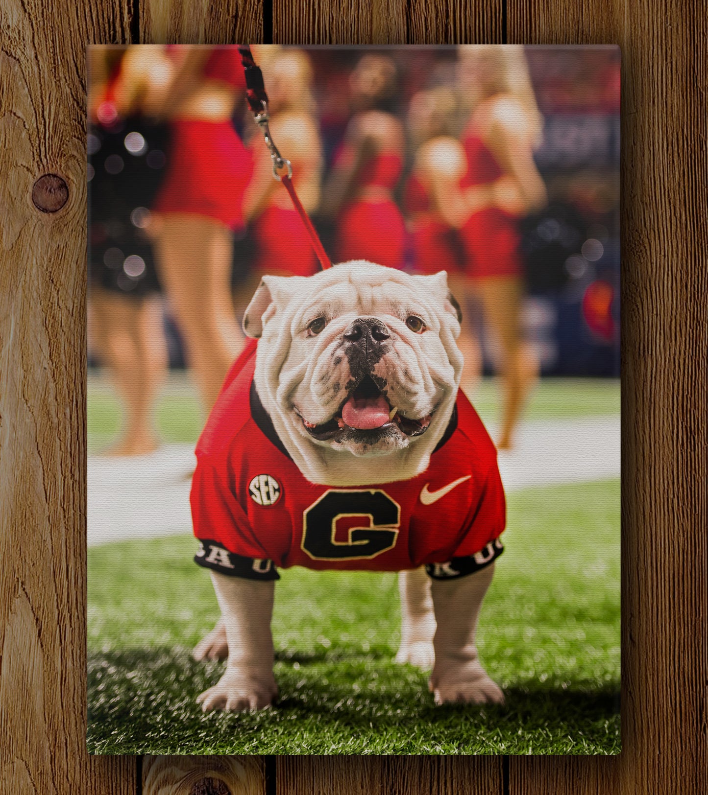 SEC Champion Uga X Photo Print & Canvas Wrap - Georgia Bulldogs Art
