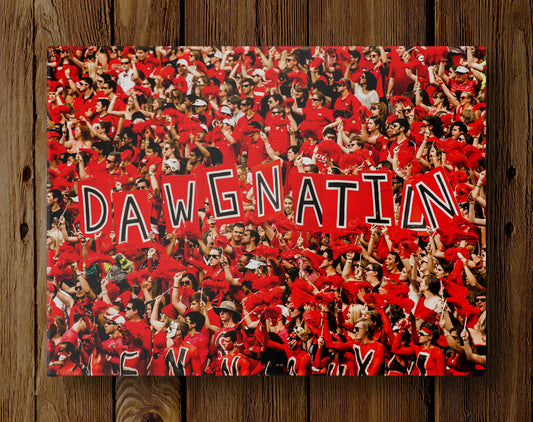 UGA Dawgnation Football Photo Print & Canvas Wrap - Georgia Bulldogs Art