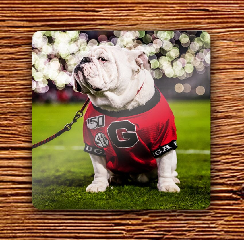 UGA Georgia Bulldogs 4" Hardboard Coaster - Uga Under the Lights Photo - WRIGHT PHOTO