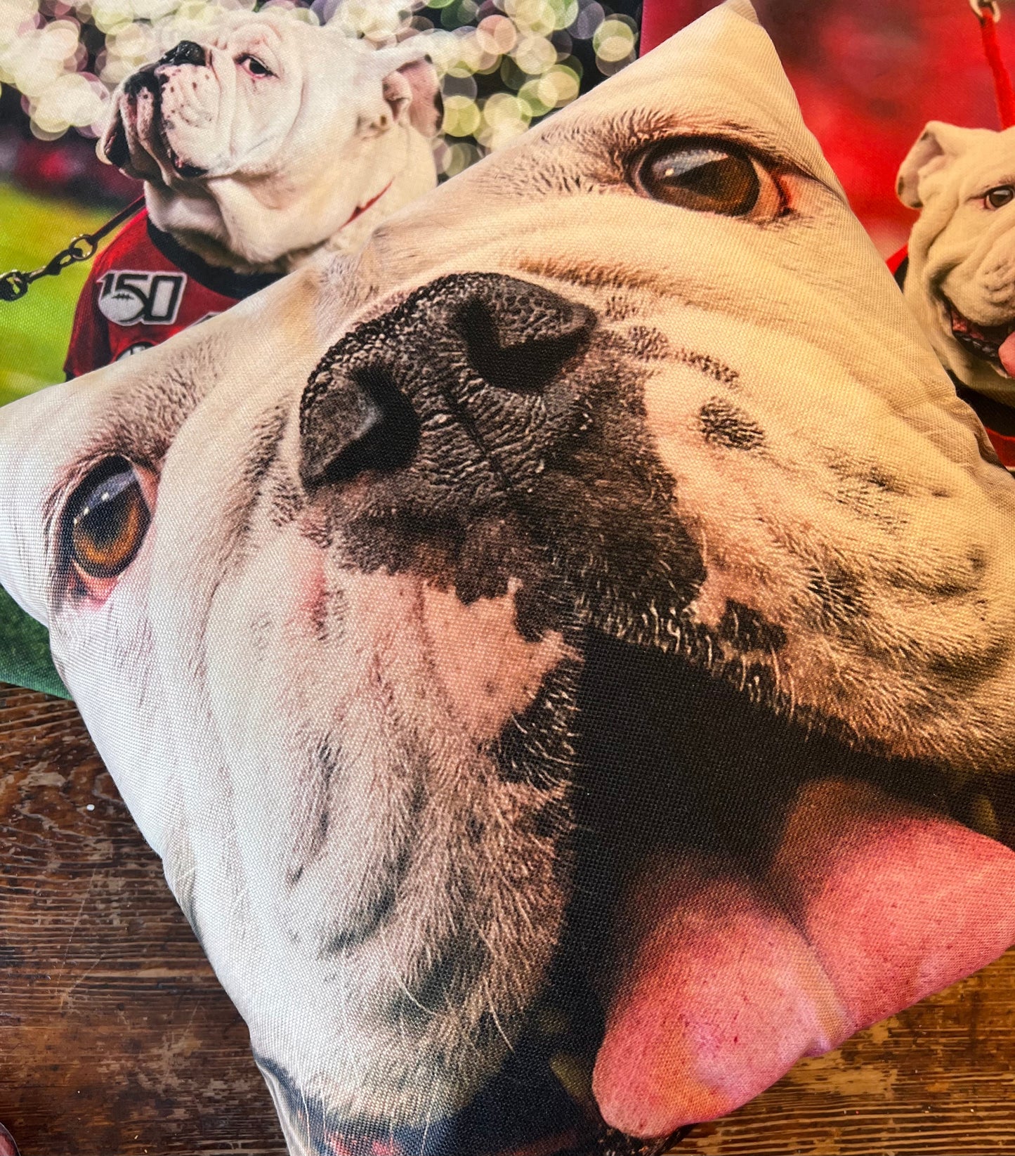 Uga X Mascot Closeup 18x18" Throw Pillow - Indoor/Outdoor - Georgia Bulldogs Tailgate, Dawg Cave, Home Decor