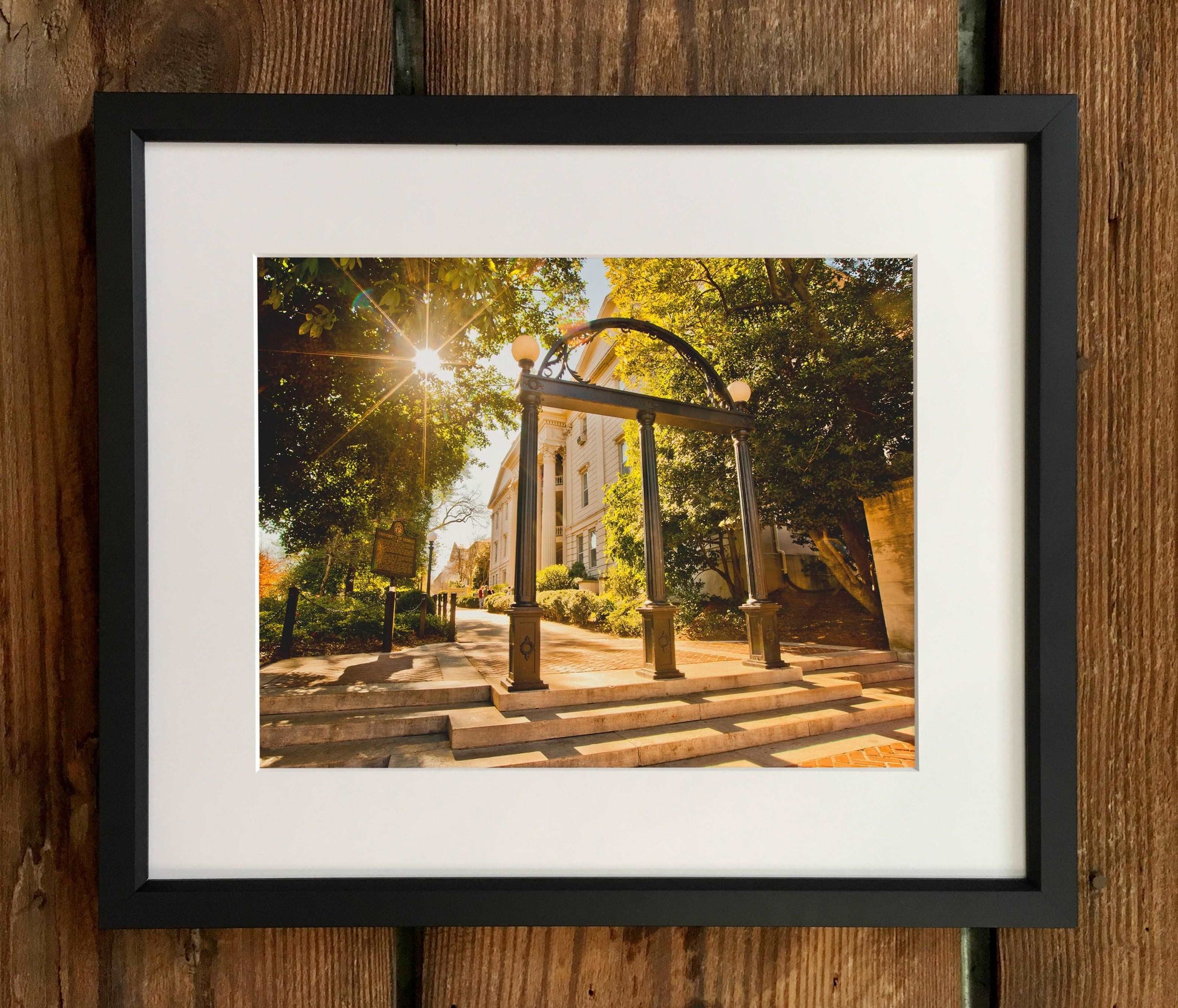 Campus Arch Print & Canvas Wrap - University of Georgia Art