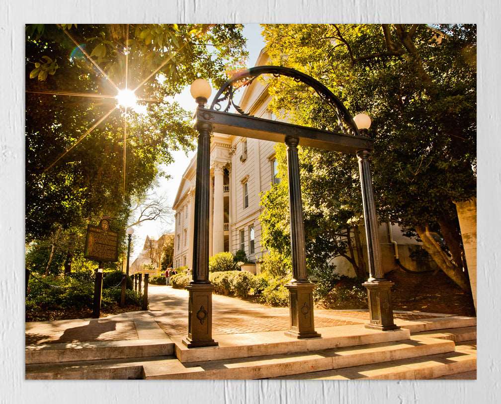Campus Arch Print & Canvas Wrap - University of Georgia Art