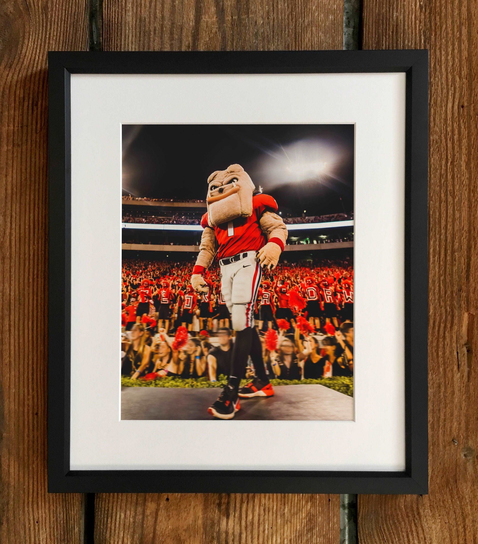 Hairy Dawg Hype Football Mascot Photo Print & Canvas Wrap - Georgia Bulldogs Art
