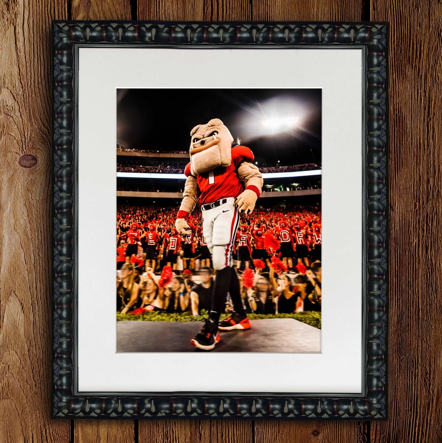 Hairy Dawg Hype Football Mascot Photo Print & Canvas Wrap - Georgia Bulldogs Art