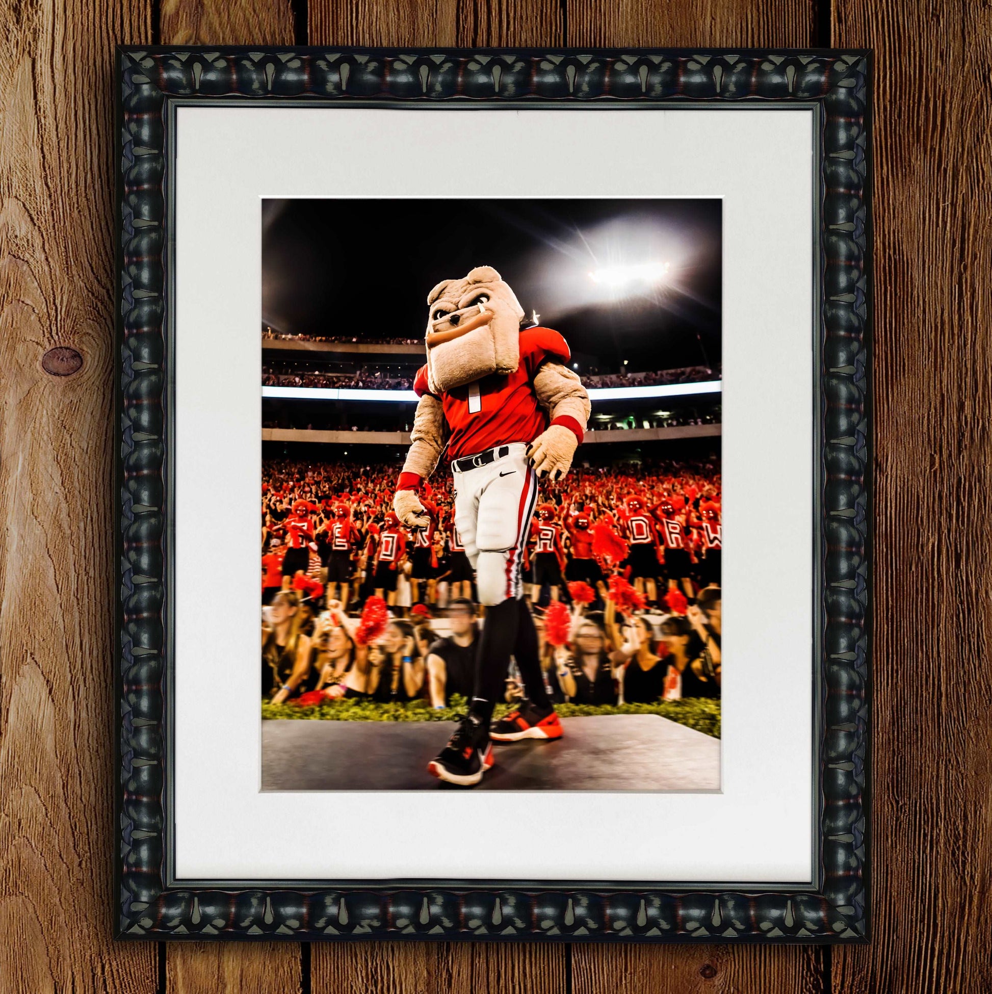 Hairy Dawg Hype Football Mascot Photo Print & Canvas Wrap - Georgia Bulldogs Art