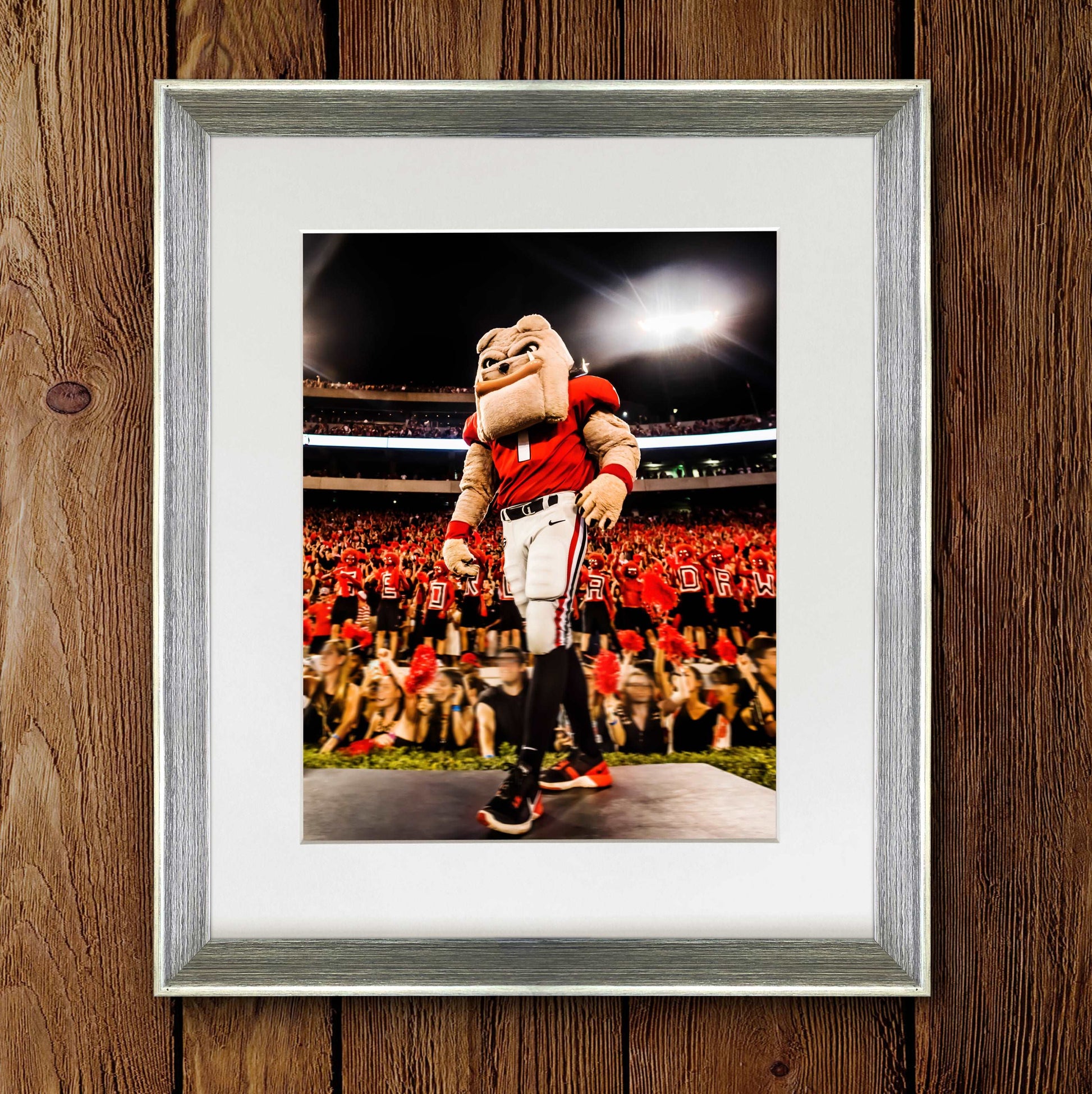 Hairy Dawg Hype Football Mascot Photo Print & Canvas Wrap - Georgia Bulldogs Art