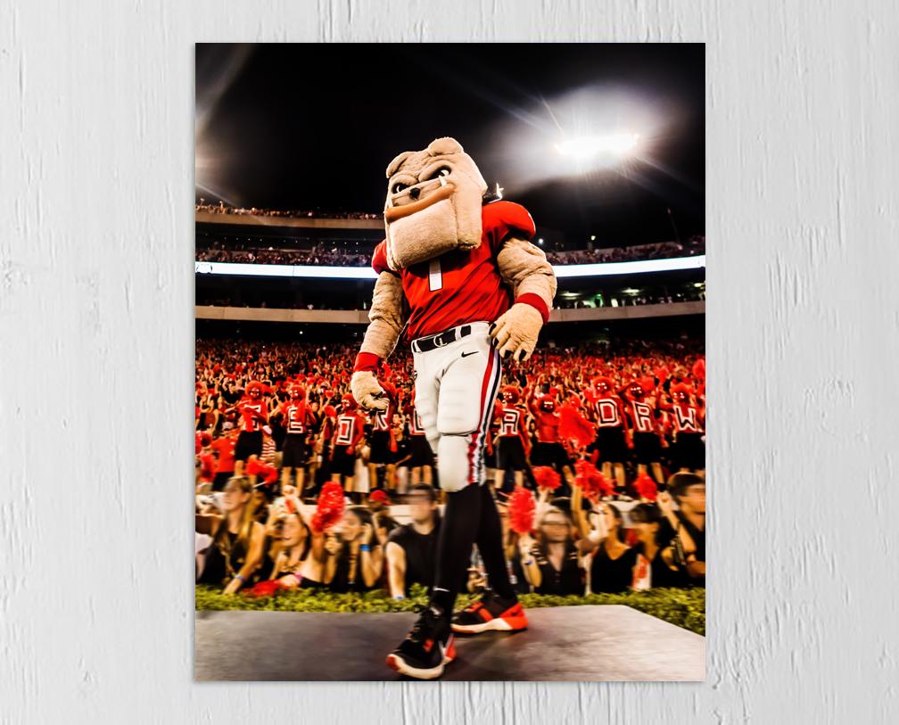 Hairy Dawg Hype Football Mascot Photo Print & Canvas Wrap - Georgia Bulldogs Art